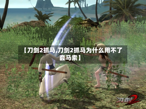 【刀剑2抓马,刀剑2抓马为什么用不了套马索】-第2张图片