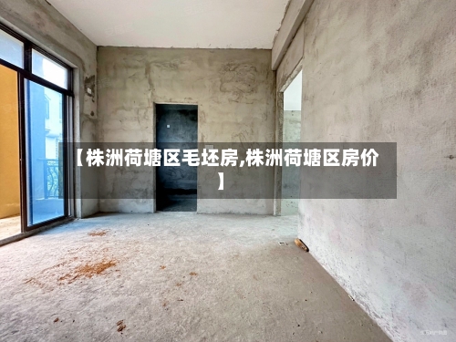 【株洲荷塘区毛坯房,株洲荷塘区房价】