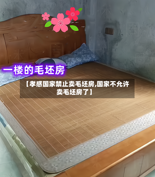 【孝感国家禁止卖毛坯房,国家不允许卖毛坯房了】-第2张图片