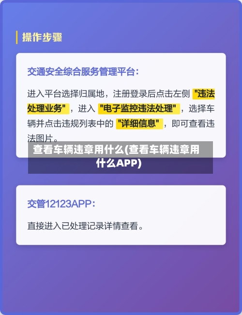 查看车辆违章用什么(查看车辆违章用什么APP)
