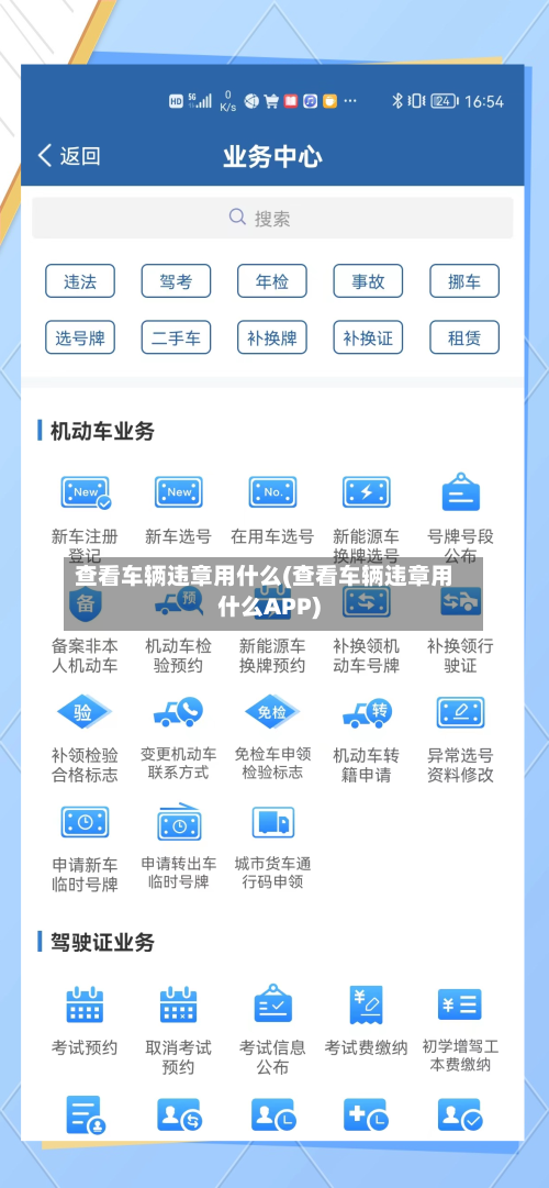 查看车辆违章用什么(查看车辆违章用什么APP)-第2张图片