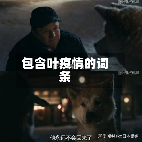 包含叶疫情的词条-第2张图片