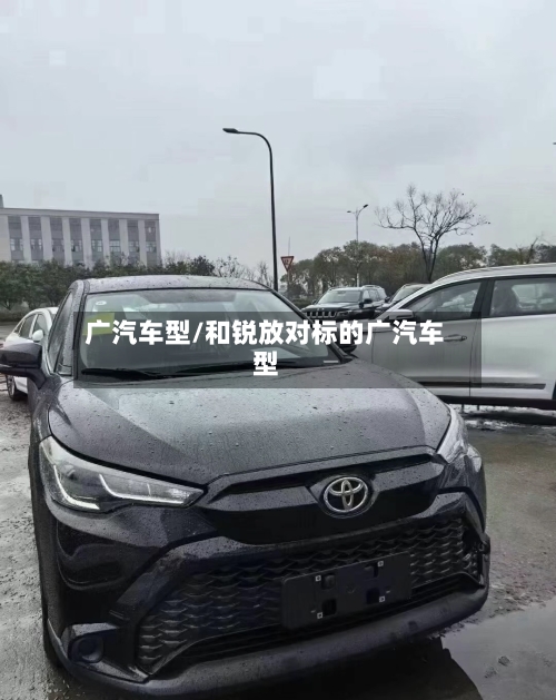 广汽车型/和锐放对标的广汽车型-第3张图片