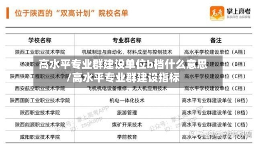 高水平专业群建设单位b档什么意思/高水平专业群建设指标