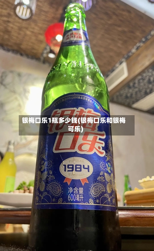 银梅口乐1瓶多少钱(银梅口乐和银梅可乐)-第2张图片