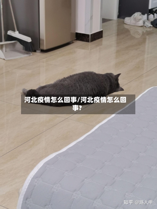 河北疫情怎么回事/河北疫情怎么回事?