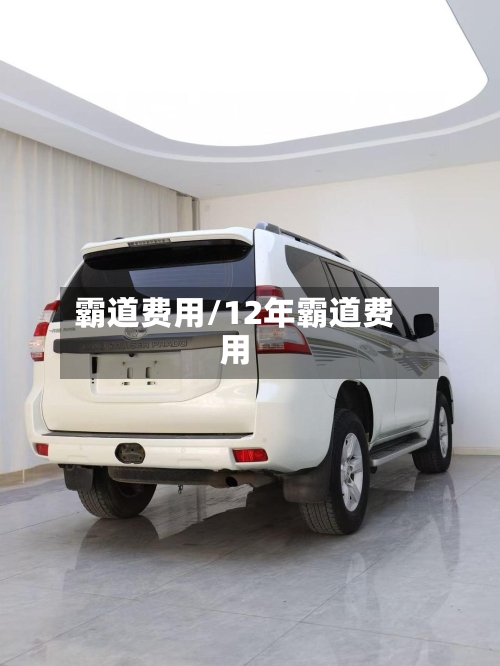 霸道费用/12年霸道费用