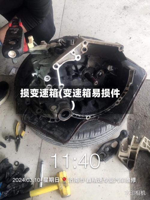 损变速箱(变速箱易损件)-第3张图片