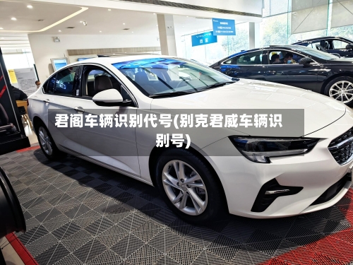 君阁车辆识别代号(别克君威车辆识别号)