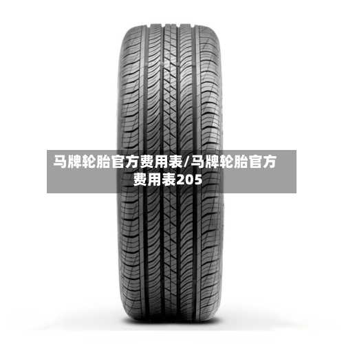 马牌轮胎官方费用表/马牌轮胎官方费用表205-第2张图片