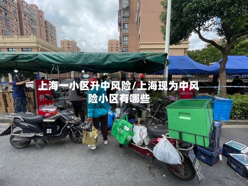 上海一小区升中风险/上海现为中风险小区有哪些
