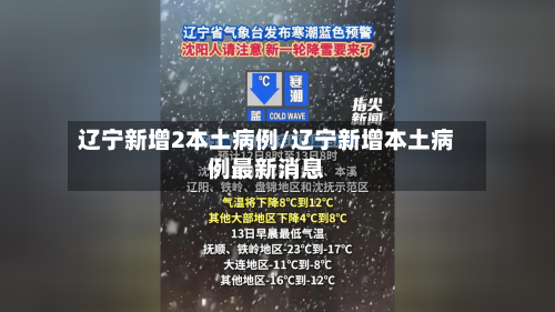 辽宁新增2本土病例/辽宁新增本土病例最新消息-第2张图片