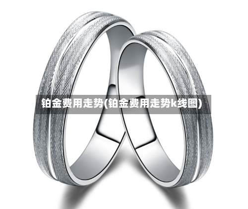 铂金费用走势(铂金费用走势k线图)