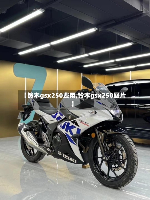 【铃木gsx250费用,铃木gsx250图片】-第2张图片