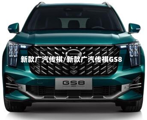新款广汽传祺/新款广汽传祺GS8