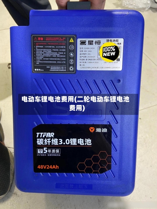电动车锂电池费用(二轮电动车锂电池费用)-第2张图片