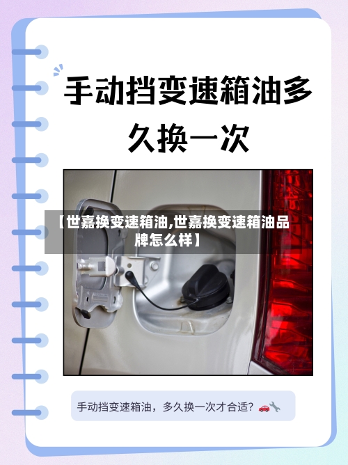 【世嘉换变速箱油,世嘉换变速箱油品牌怎么样】