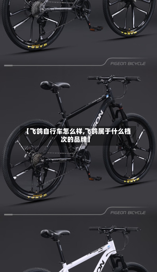 【飞鸽自行车怎么样,飞鸽属于什么档次的品牌】