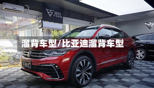 溜背车型/比亚迪溜背车型-第2张图片