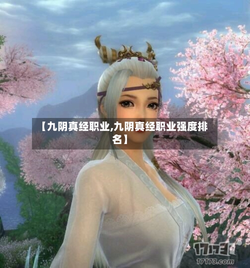 【九阴真经职业,九阴真经职业强度排名】