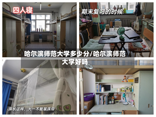 哈尔滨师范大学多少分/哈尔滨师范大学好吗-第3张图片