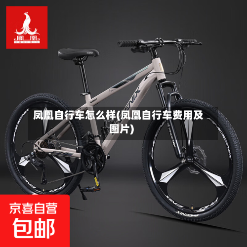 凤凰自行车怎么样(凤凰自行车费用及图片)-第3张图片