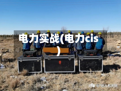 电力实战(电力cis)-第2张图片