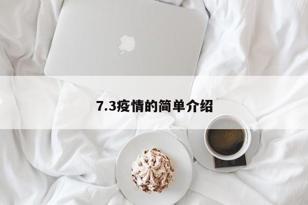 7.3疫情的简单介绍
